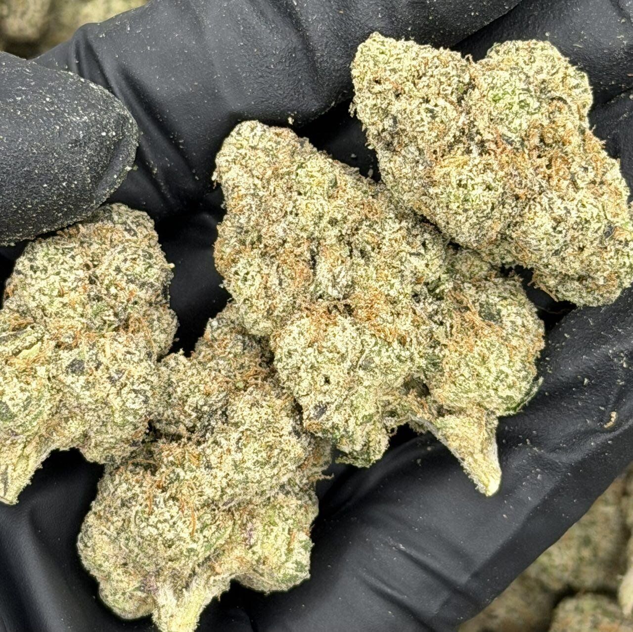 Cherry Chrome - Image 2