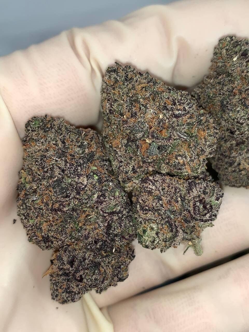 Afghan Cherries