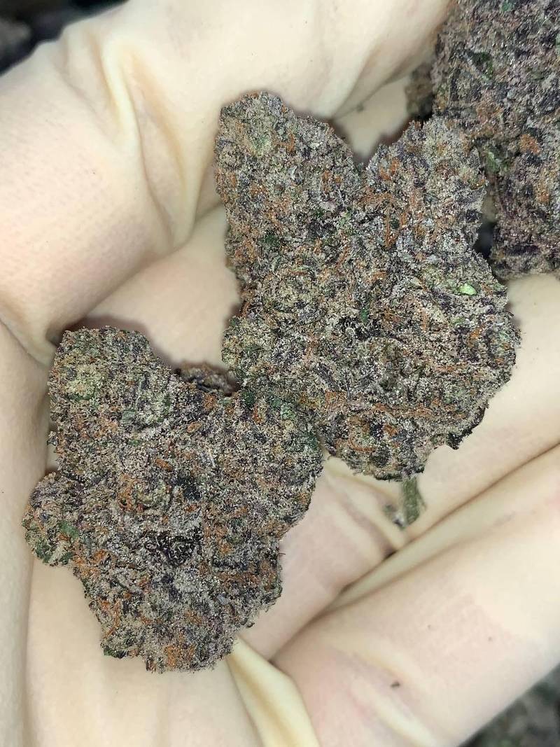 Açaí Berries 🍓