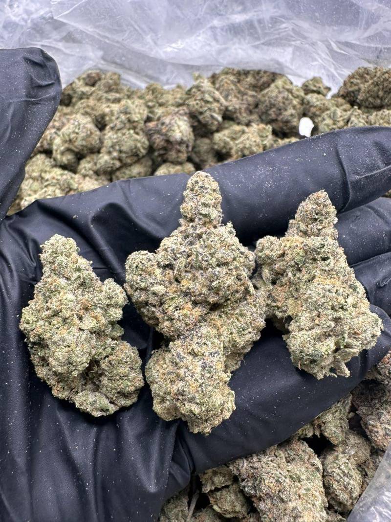 Nimbus THCA Flower