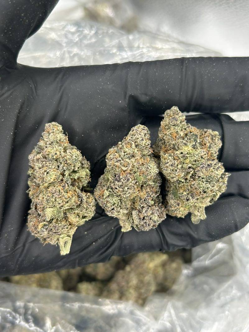 Black Cherry Gelato THCa Flower