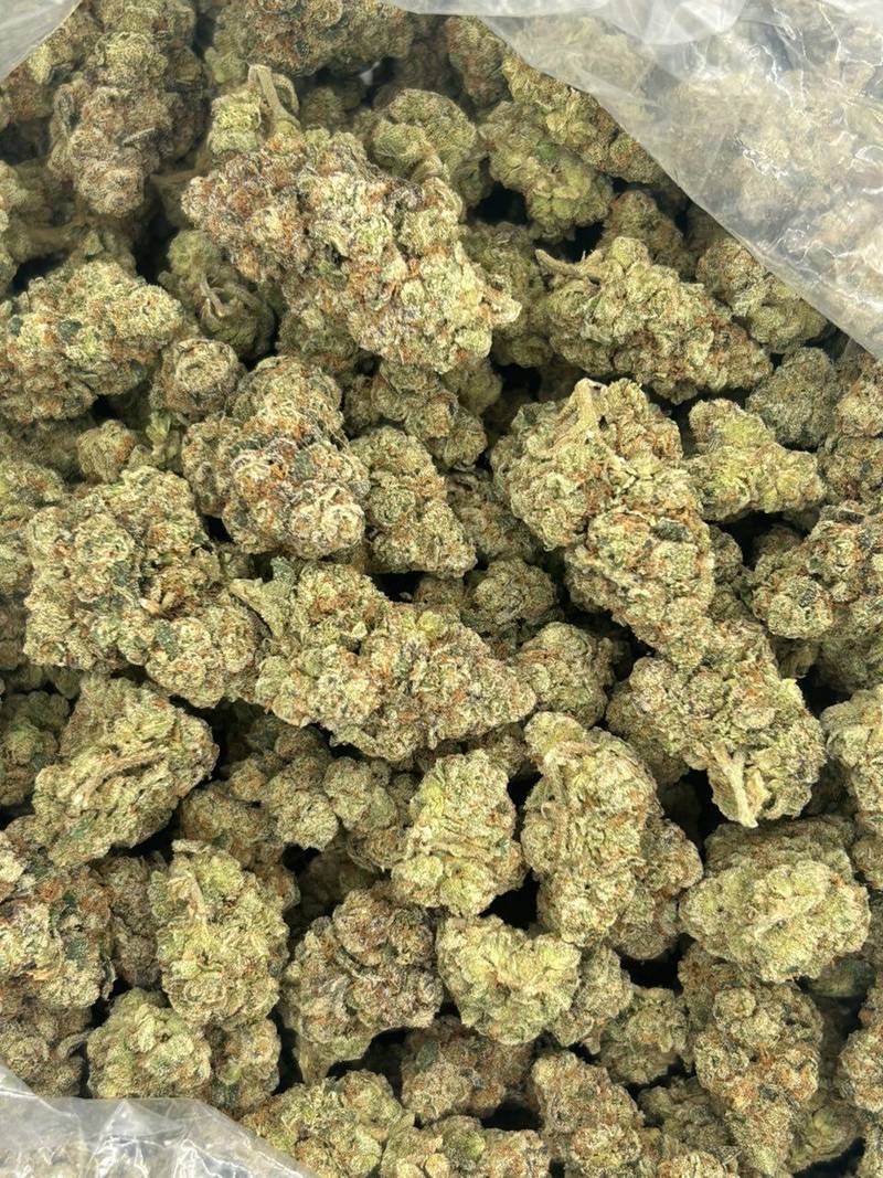 GG Scoot THCa Flower