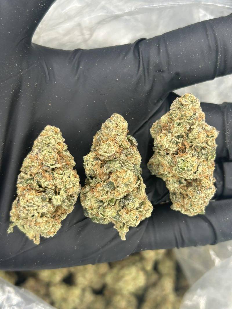 GG Scoot THCa Flower - Image 2