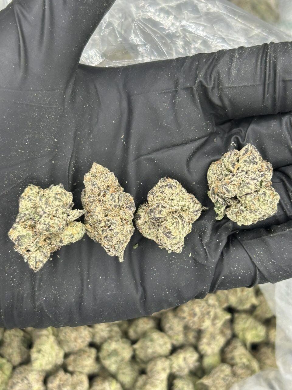 Zkushy THCa Flower - Image 2