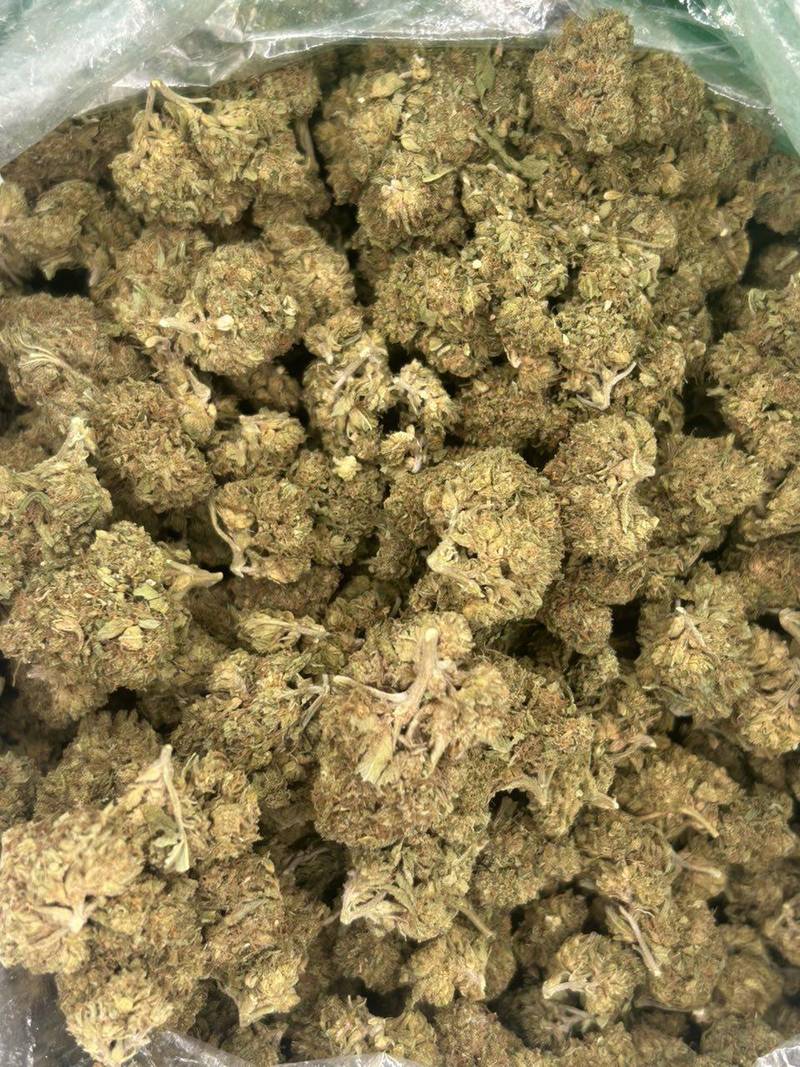 Blueberry Muffins 2.0 THCA Flower - Image 2