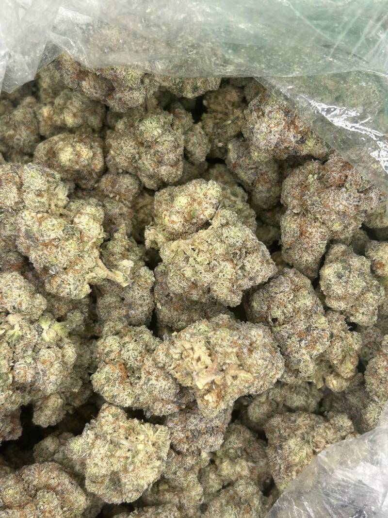 Gelato Slushie THCA Flower
