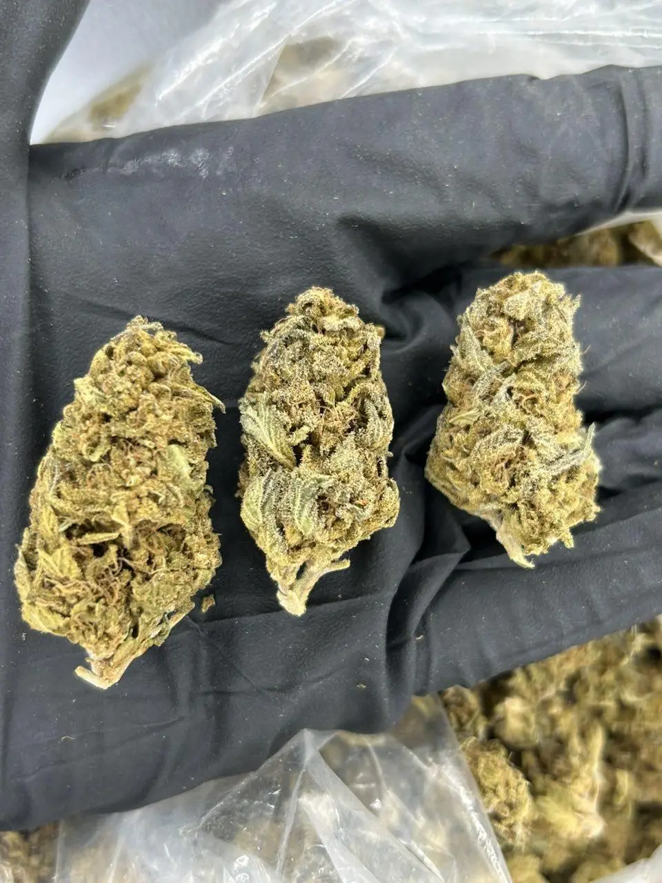 Blue Berry #8 THCA Flower - Image 2