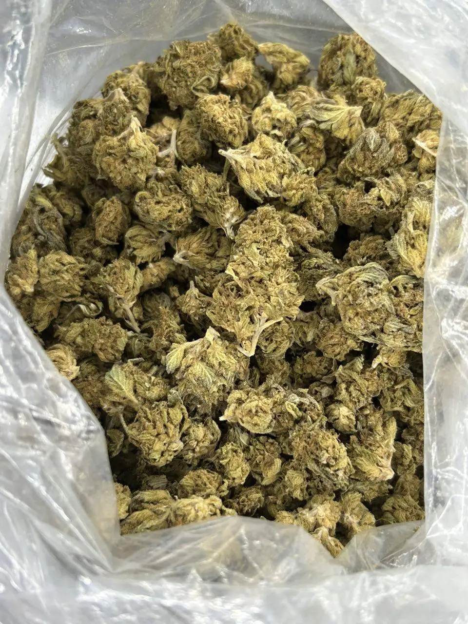Berry G THCa Flower