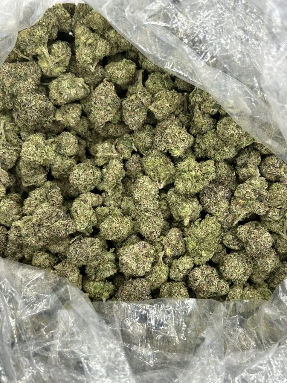 Blueberry Belts THCa Flower - Image 2