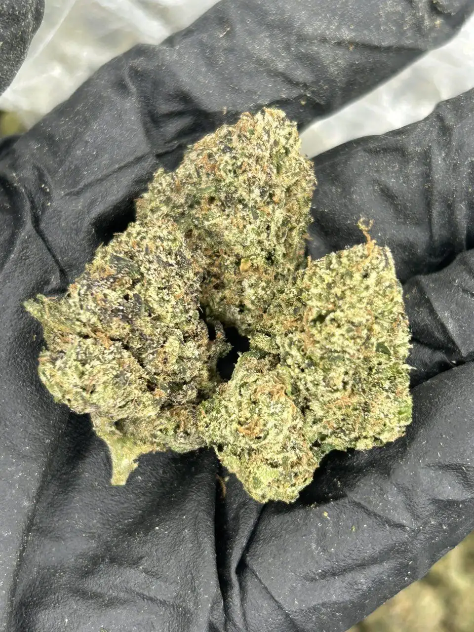 Blueberry Belts THCa Flower
