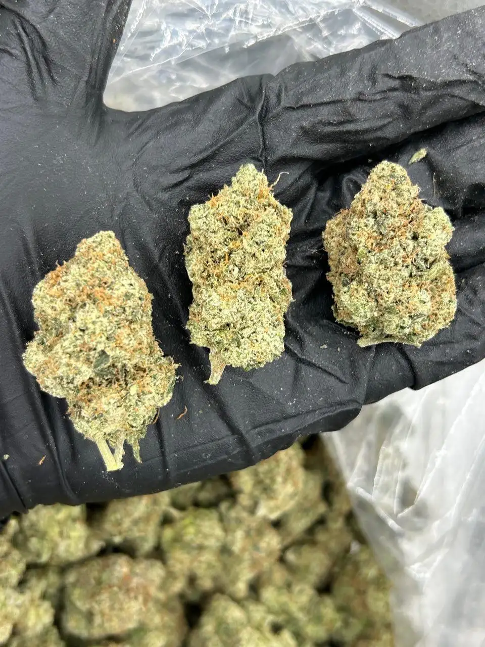 Candied Up LCG THCa Flower