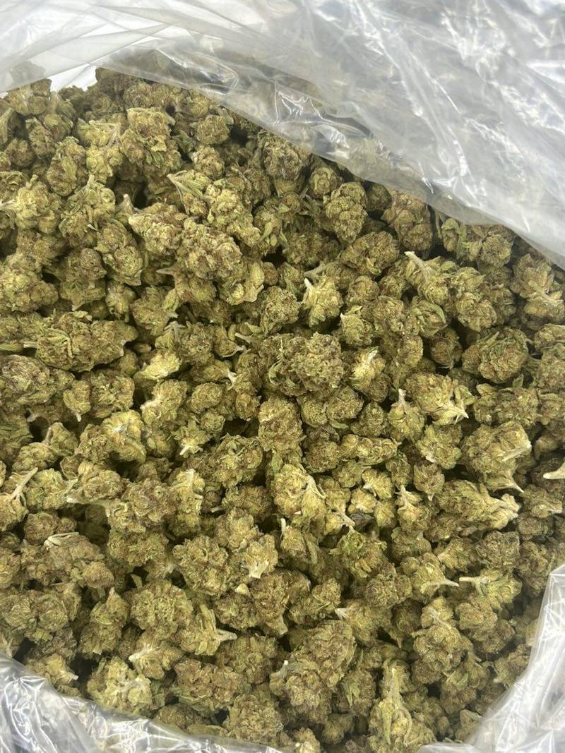 Candy Z THCa Flower - Image 2