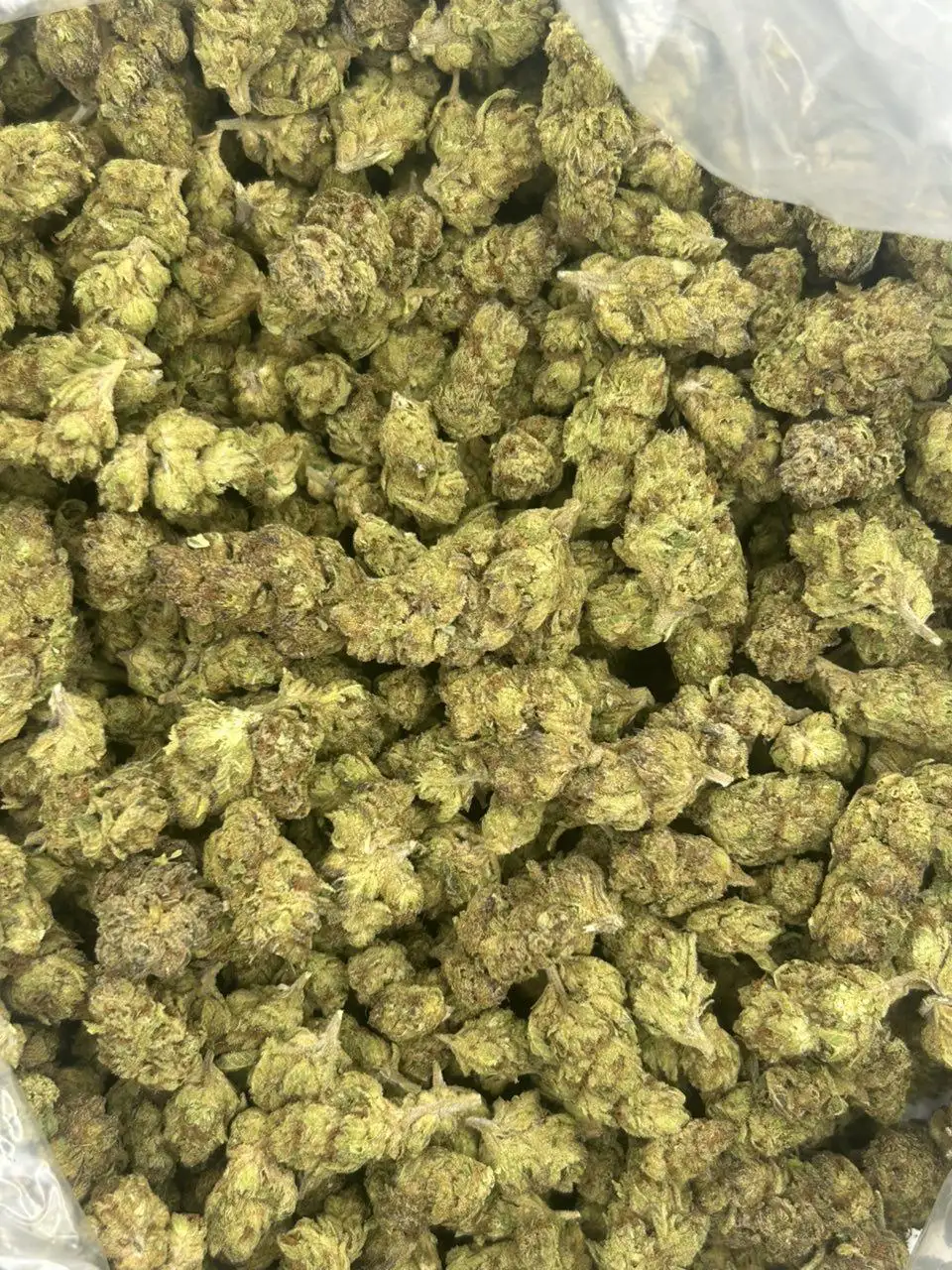 Cremelato THCa Flower - Image 2