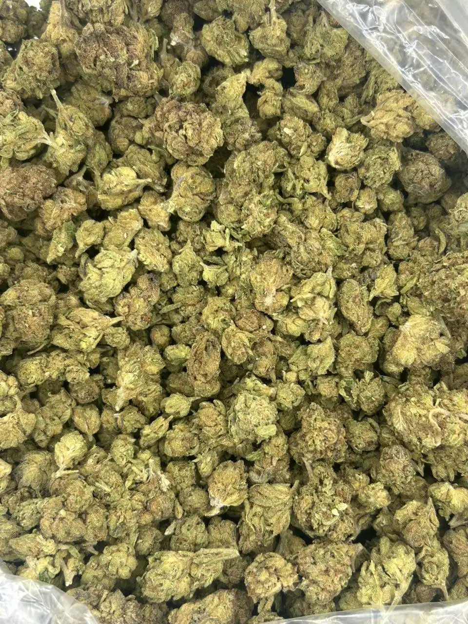 Gelato Runtz THCa Flower - Image 2