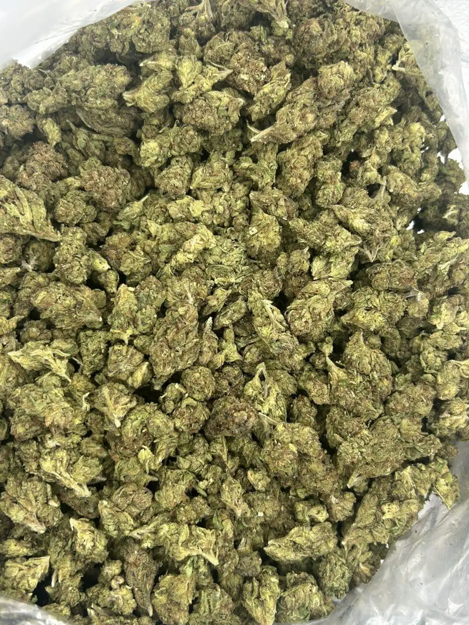 LCG D THCa Flower - Image 2
