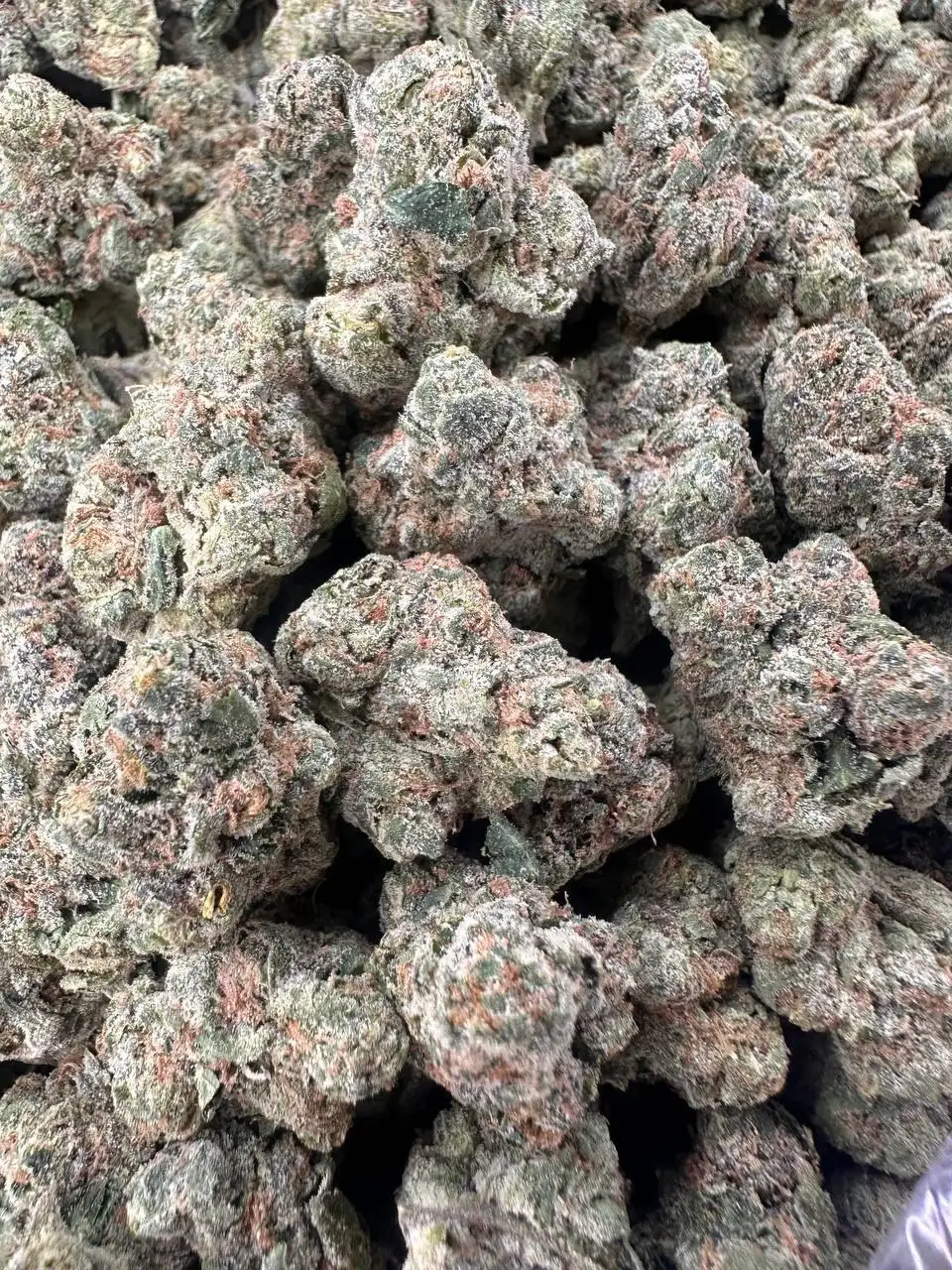 Lemon Cherry Fuel THCa Flower