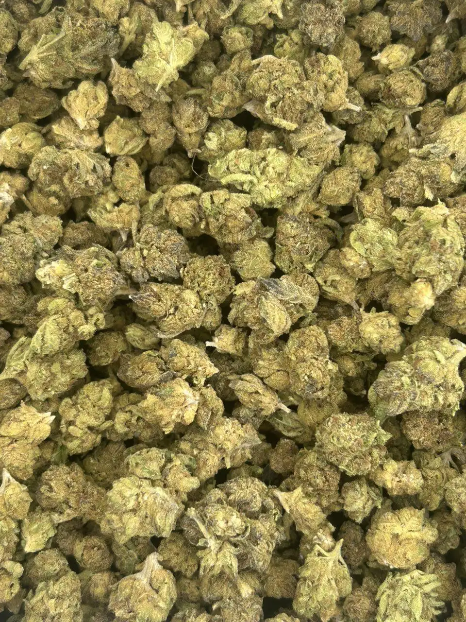 Spritzer THCa Flower - Image 2