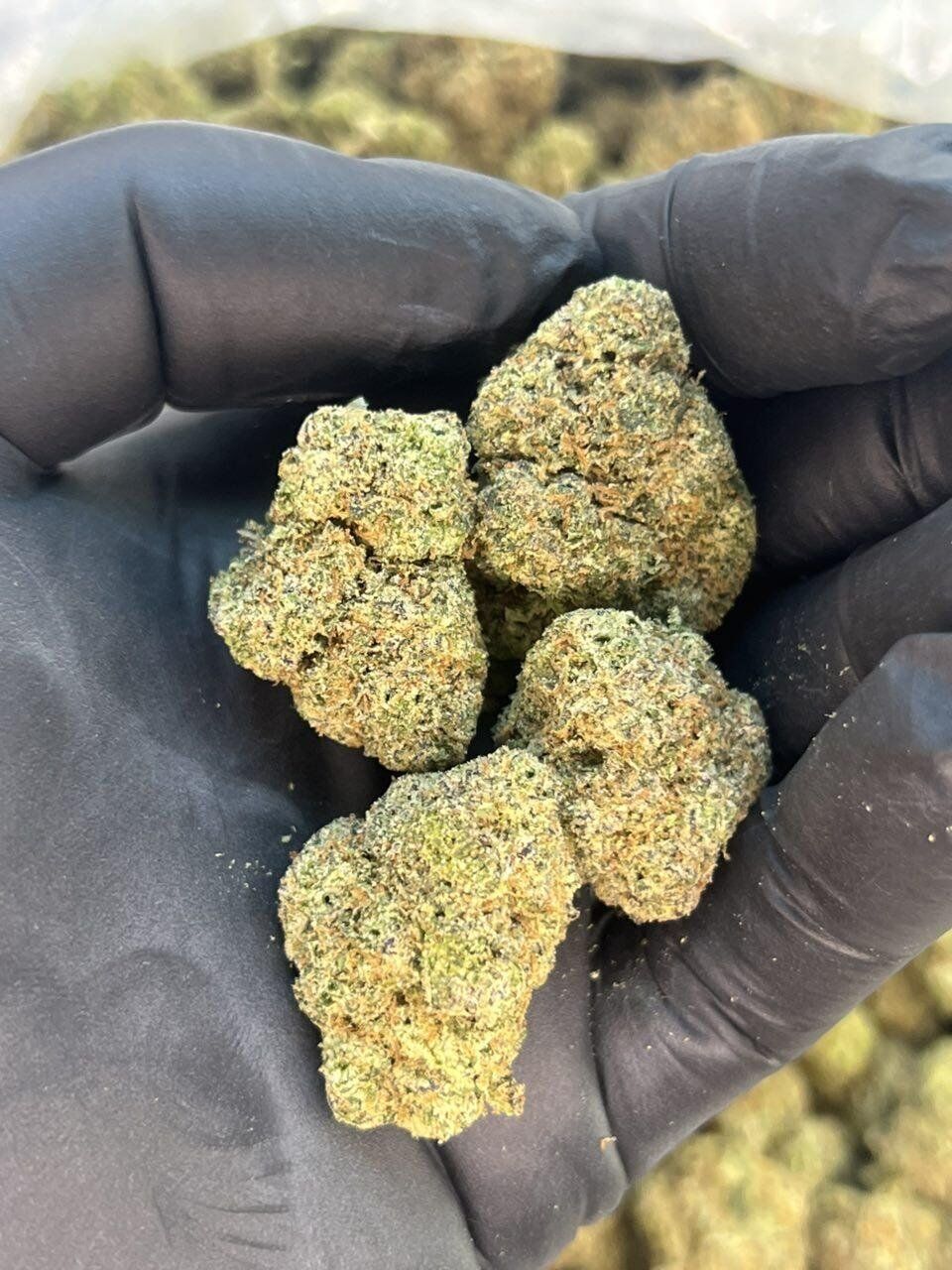 Rainbow Zangria 🌈 🍹