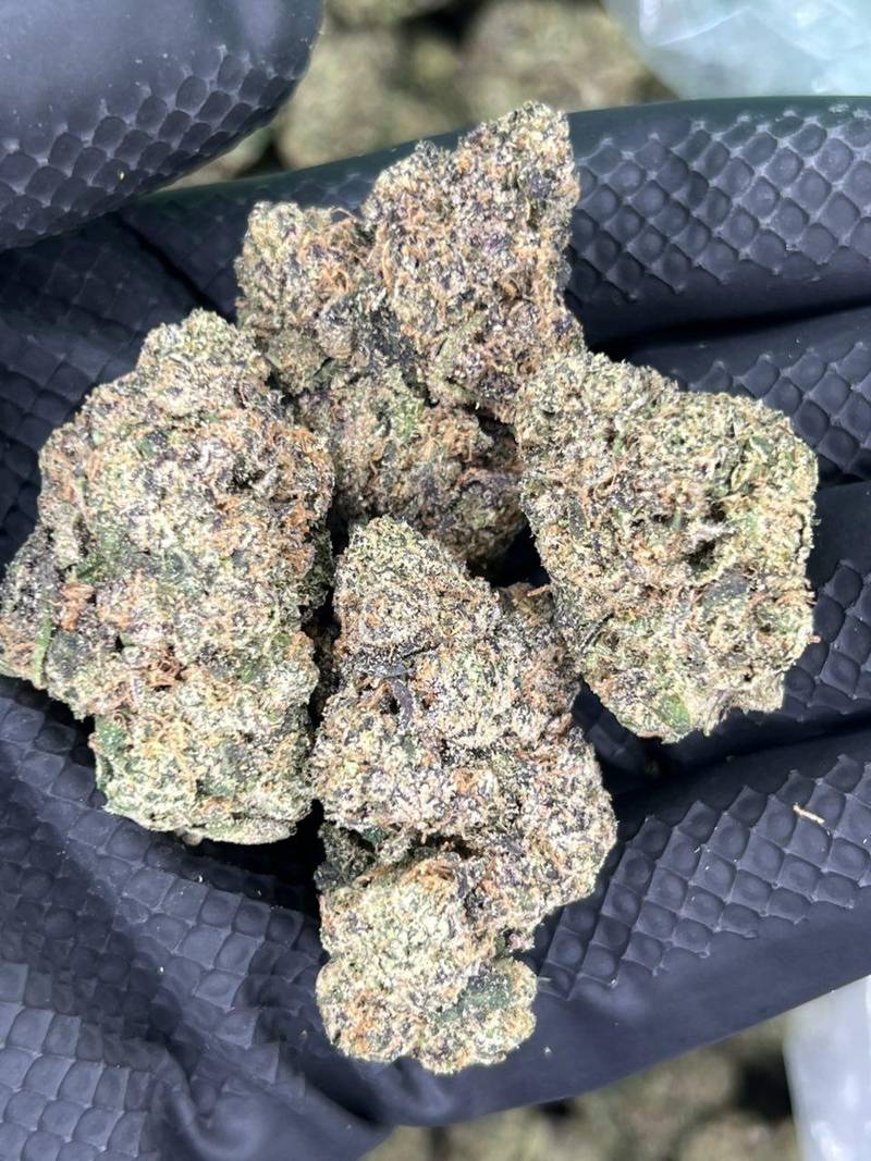 Gamma Runtz - Image 2