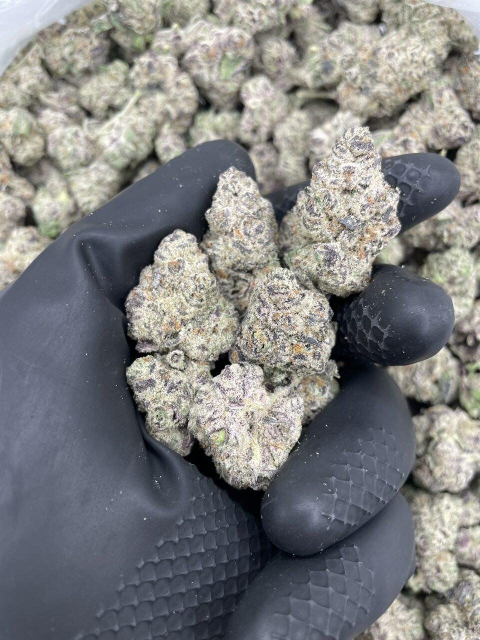 Dante Inferno - Image 2