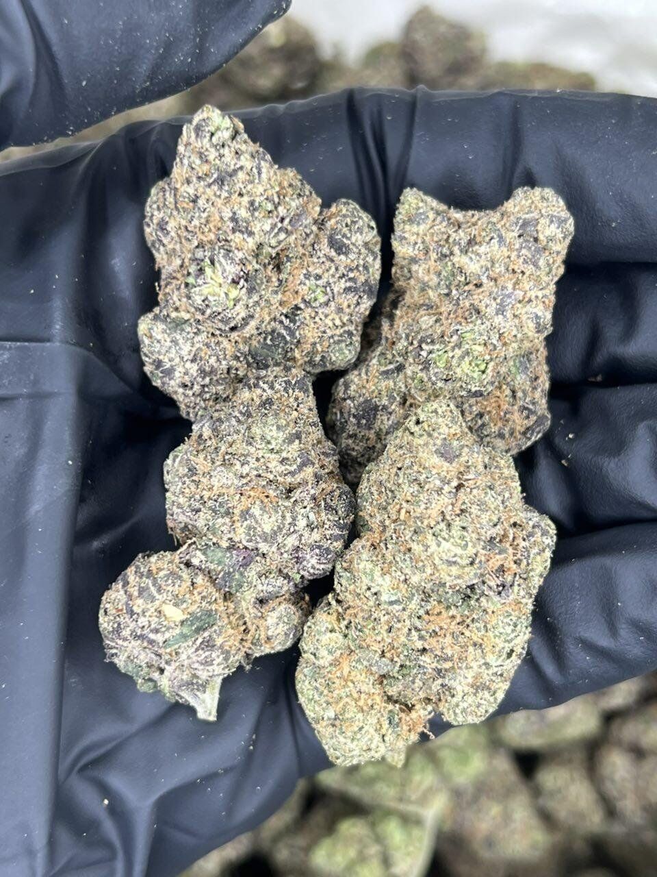 Mamba Candy - Image 2