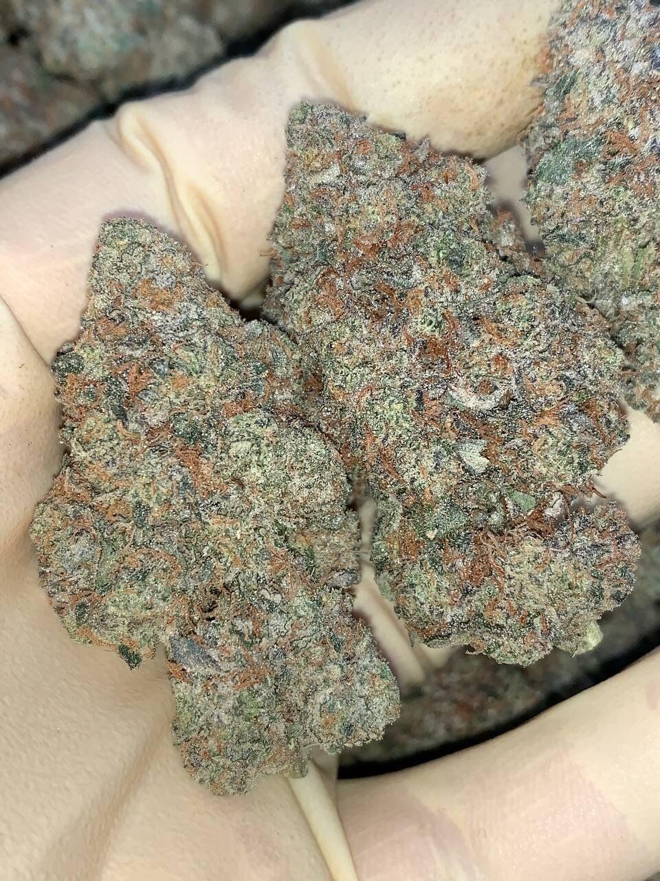 Blue Ritz