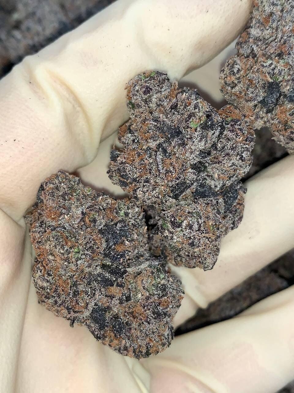 Super Runtz A17⛽️ 🦨