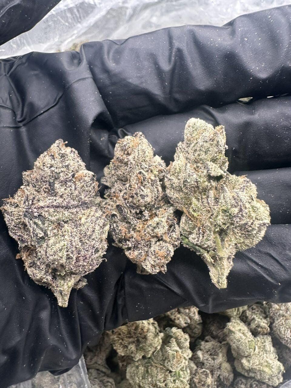 Cherry Z THCA Flower