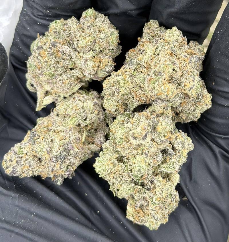 Blue Razz Eclair THCa Flower - Image 2