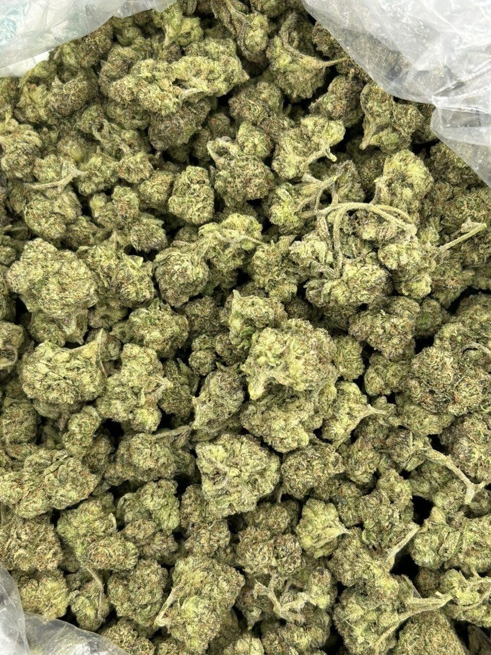 LCG x Zooties THCa Flower