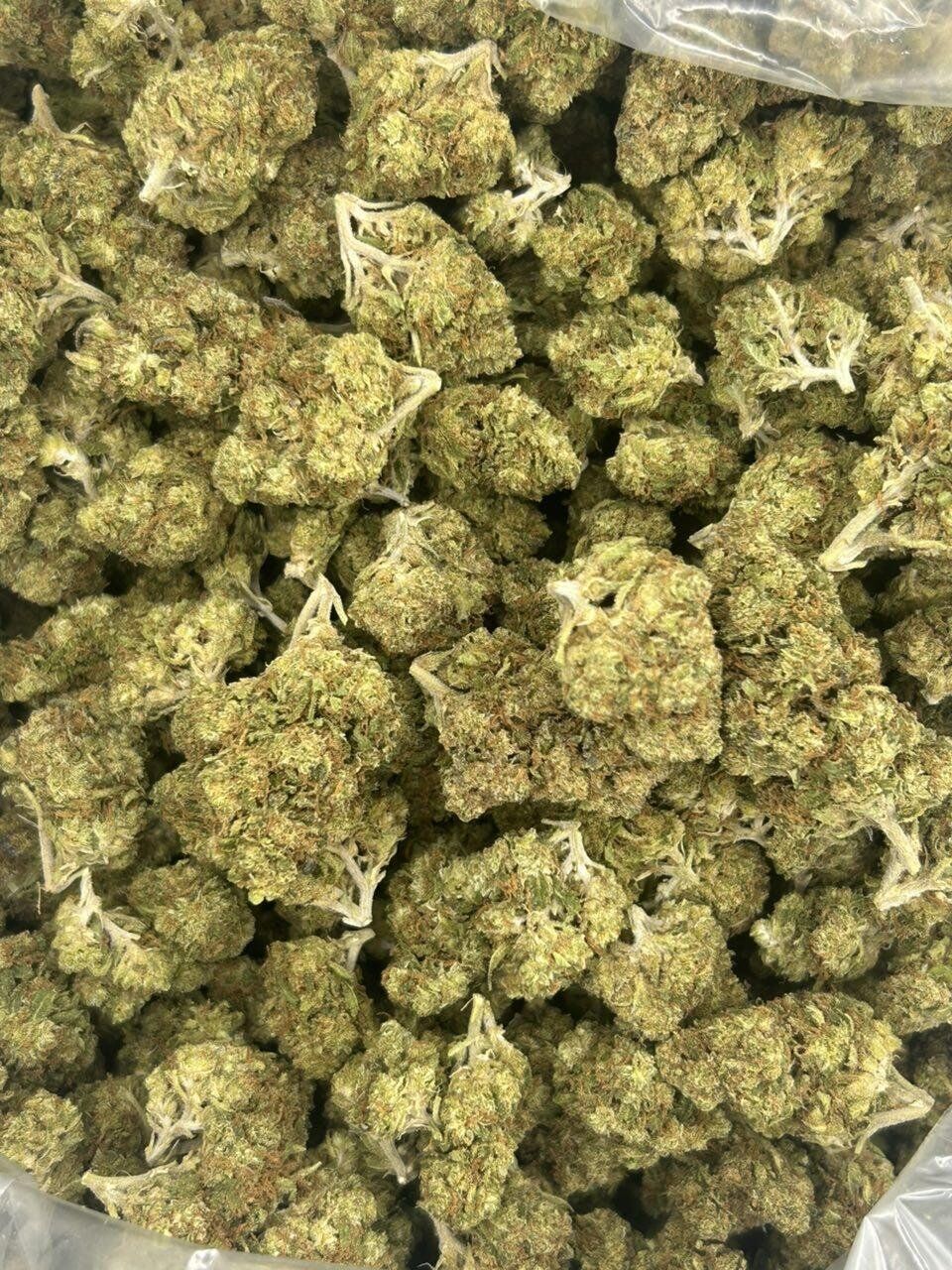 Mega Runtz THCa Flower