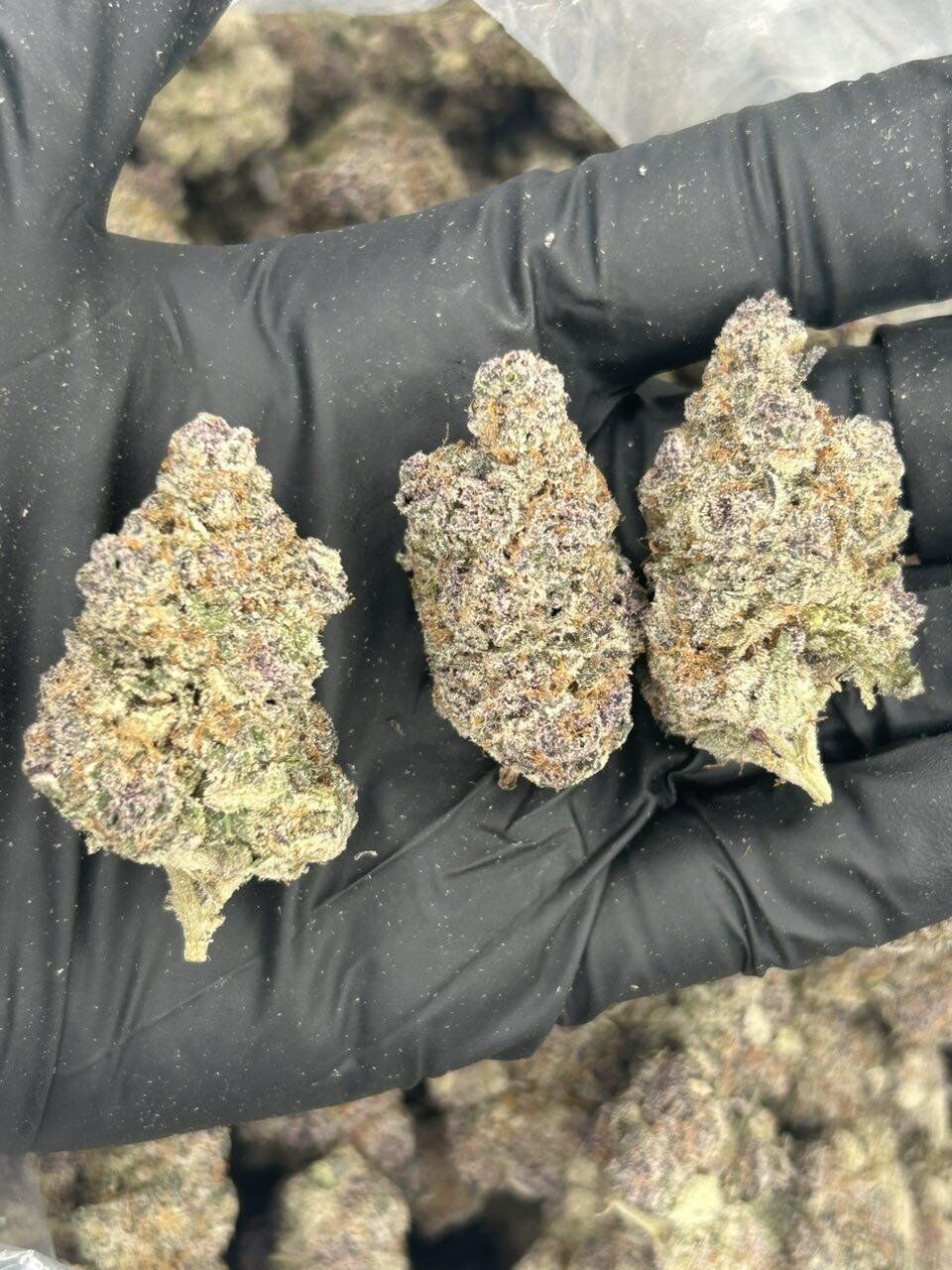 Super Buff Cherry THCa Flower