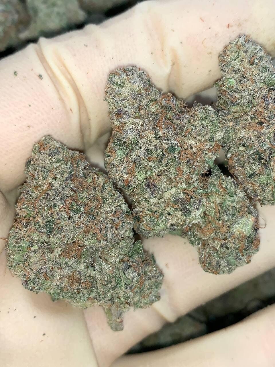Cotton Candy Runtz