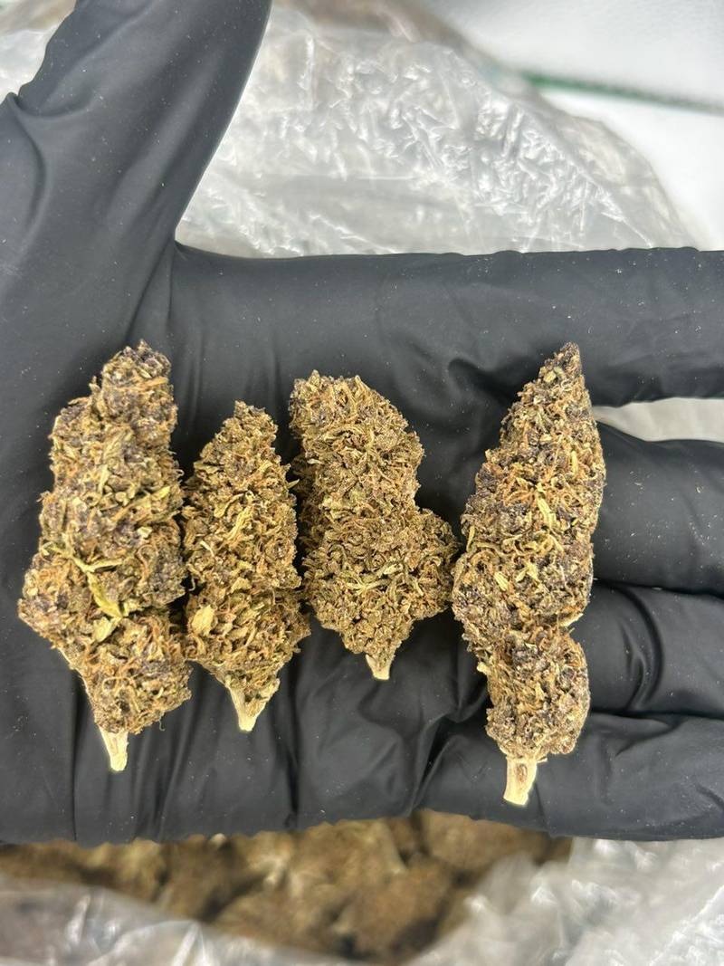 Turban Poison - Image 2