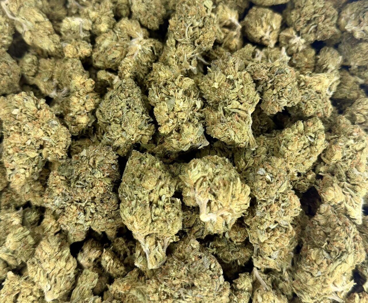 Gelato King