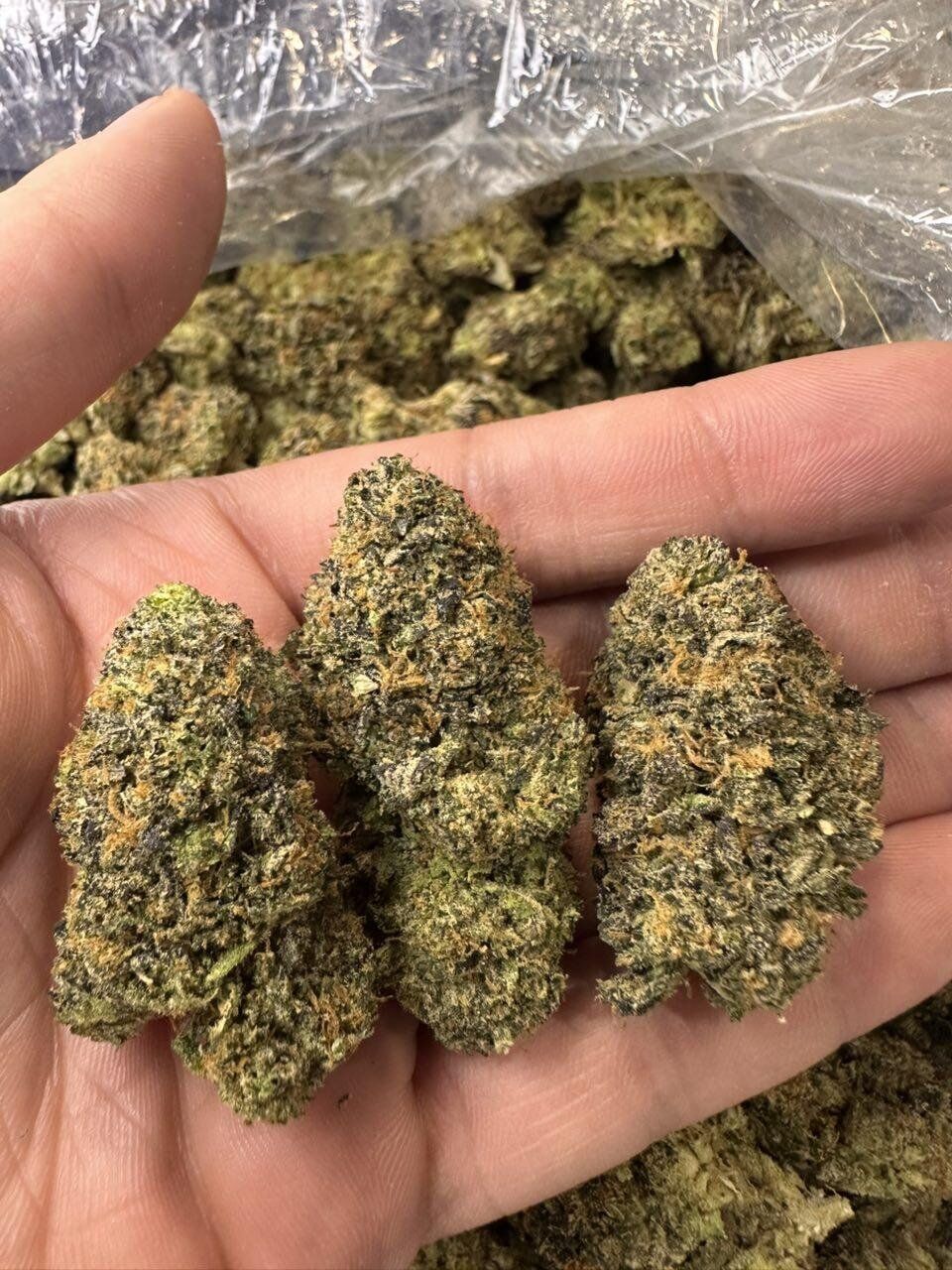Lemon CZ