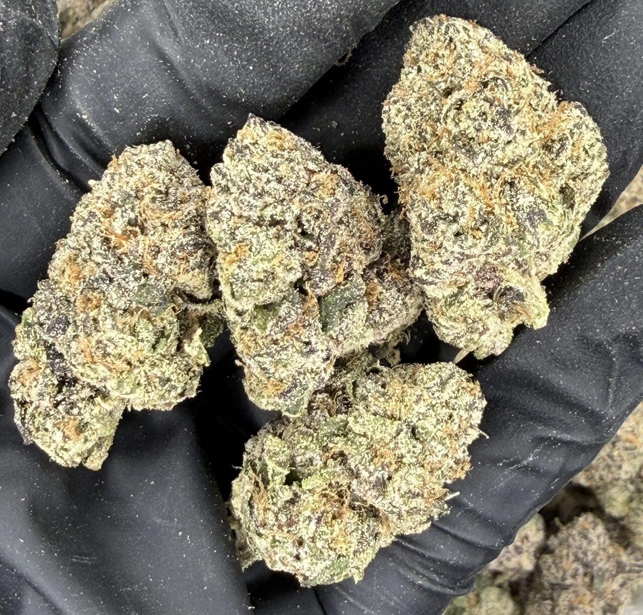 Blue Nerds - Image 2