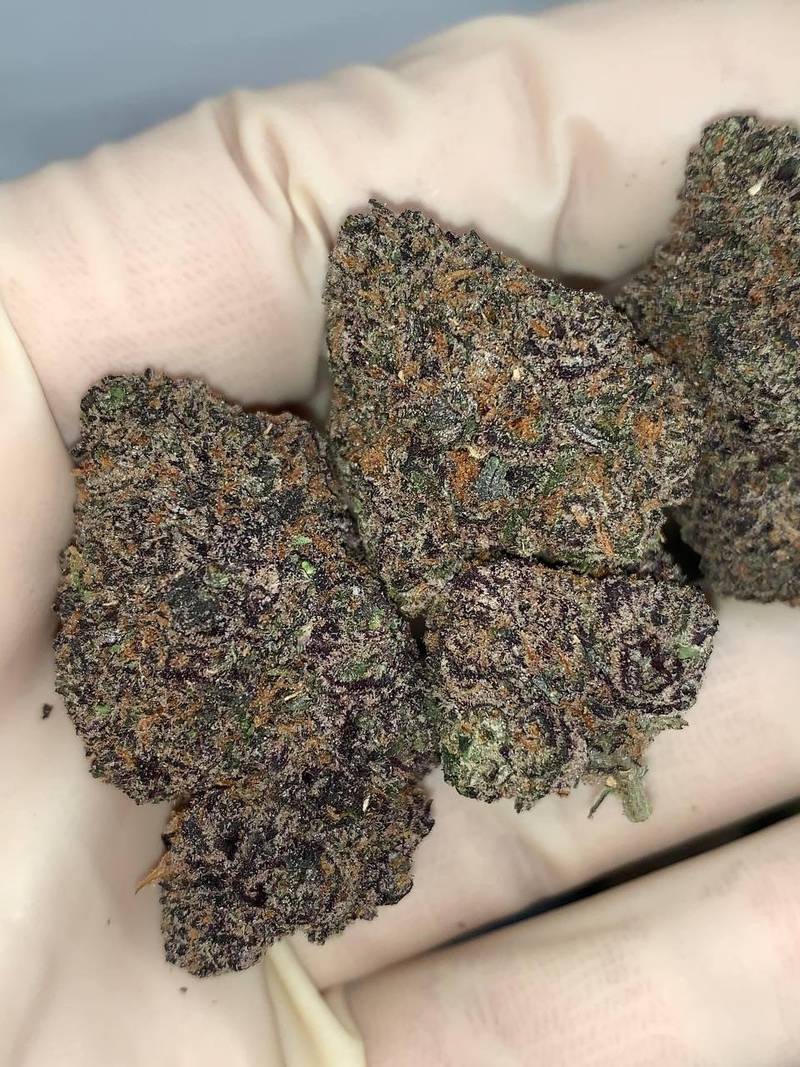 Afghan Cherries