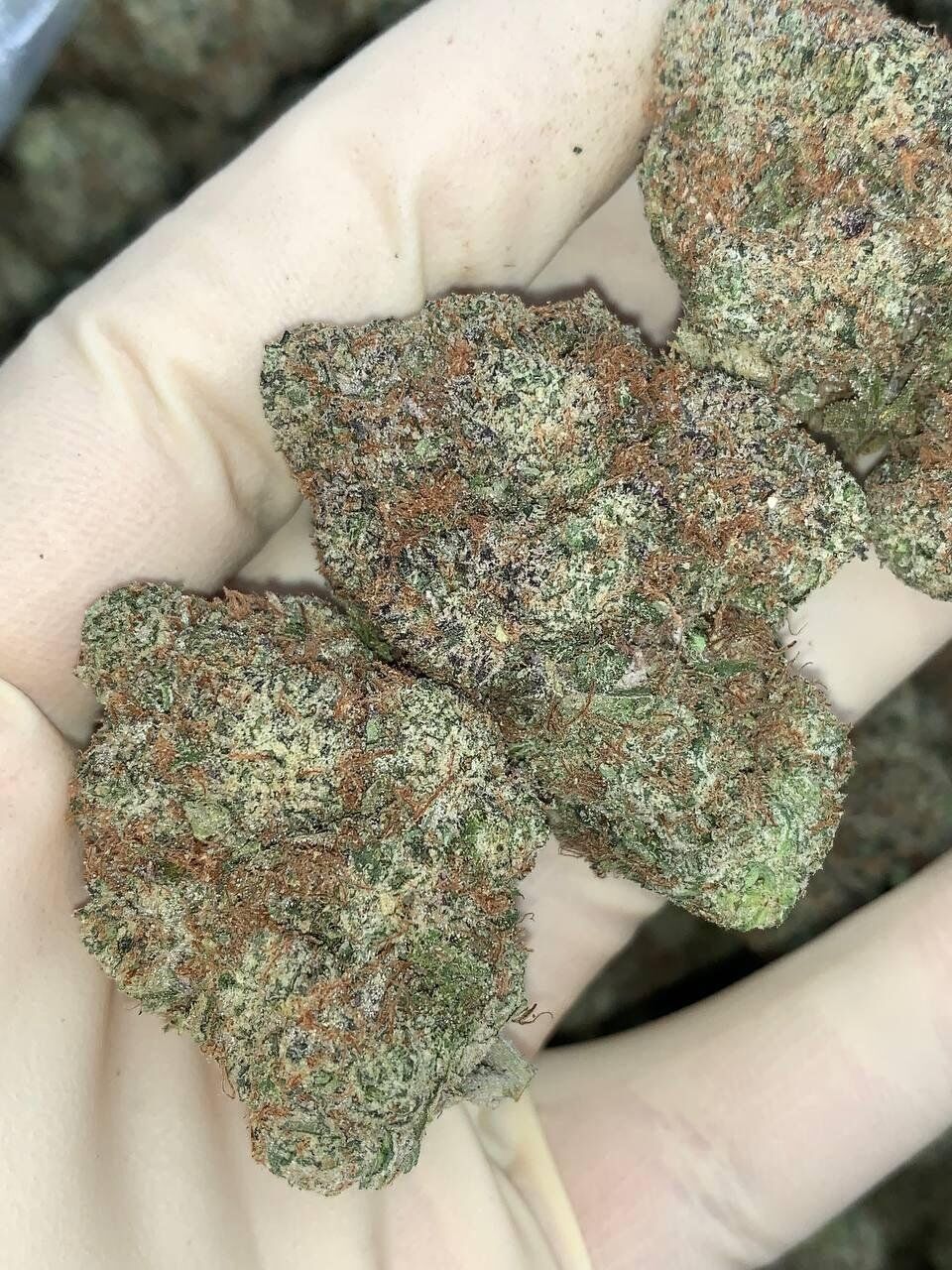 Big Candy