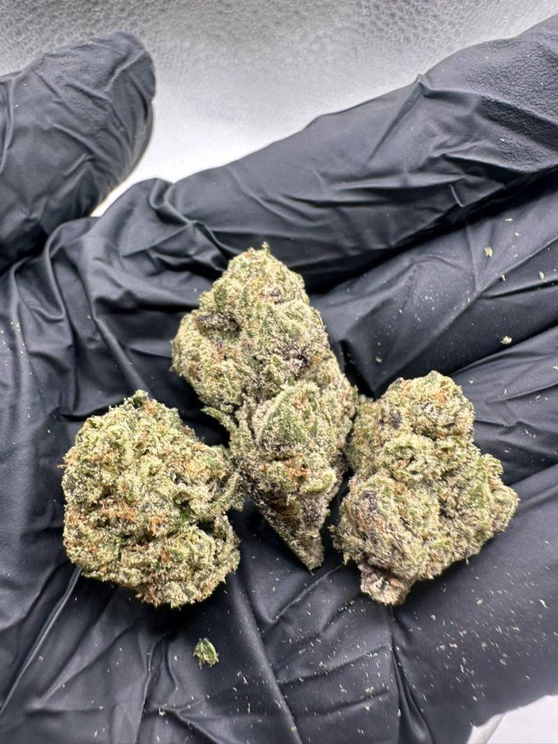 Noho Gelato