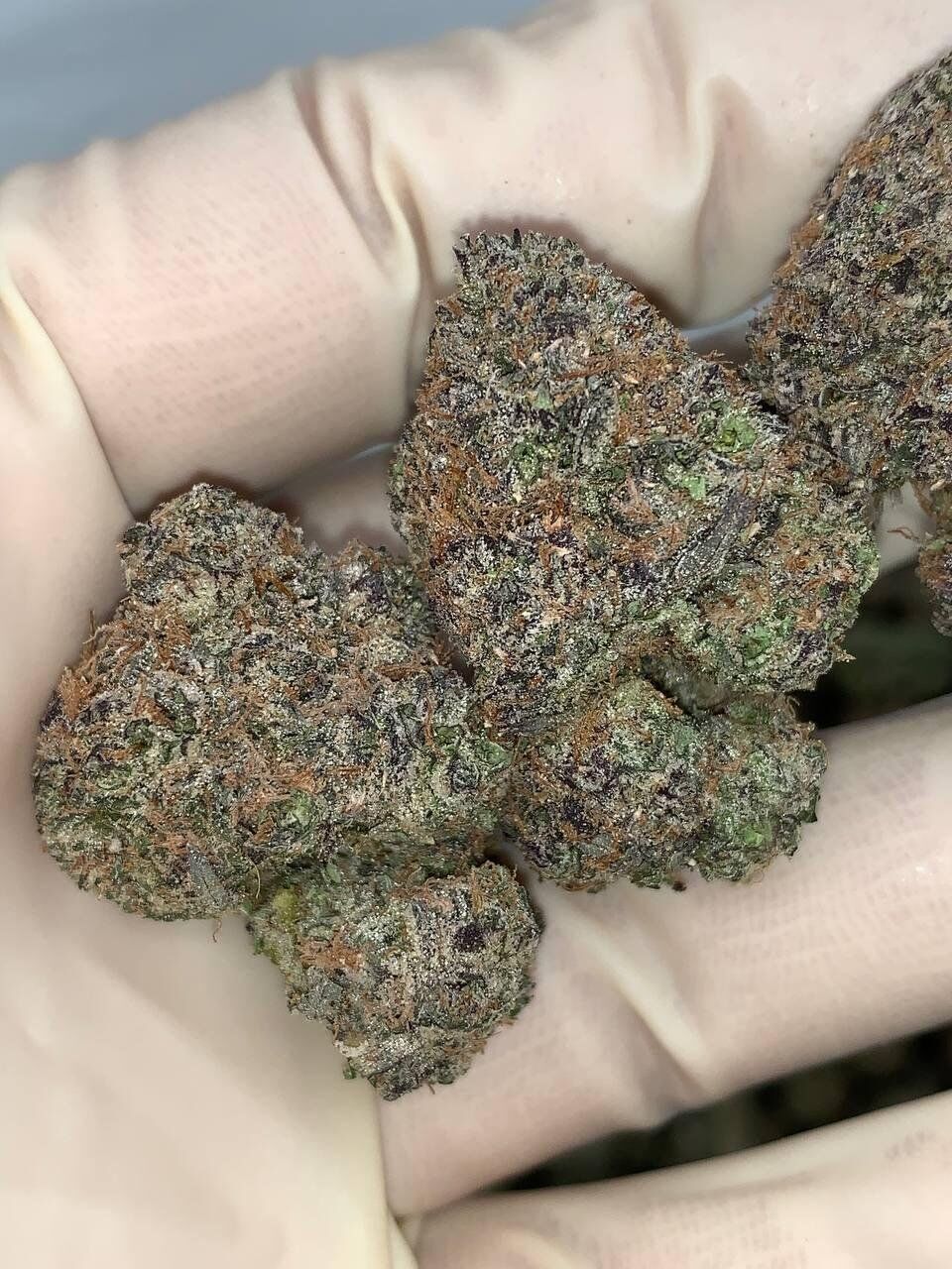 Killa Candy