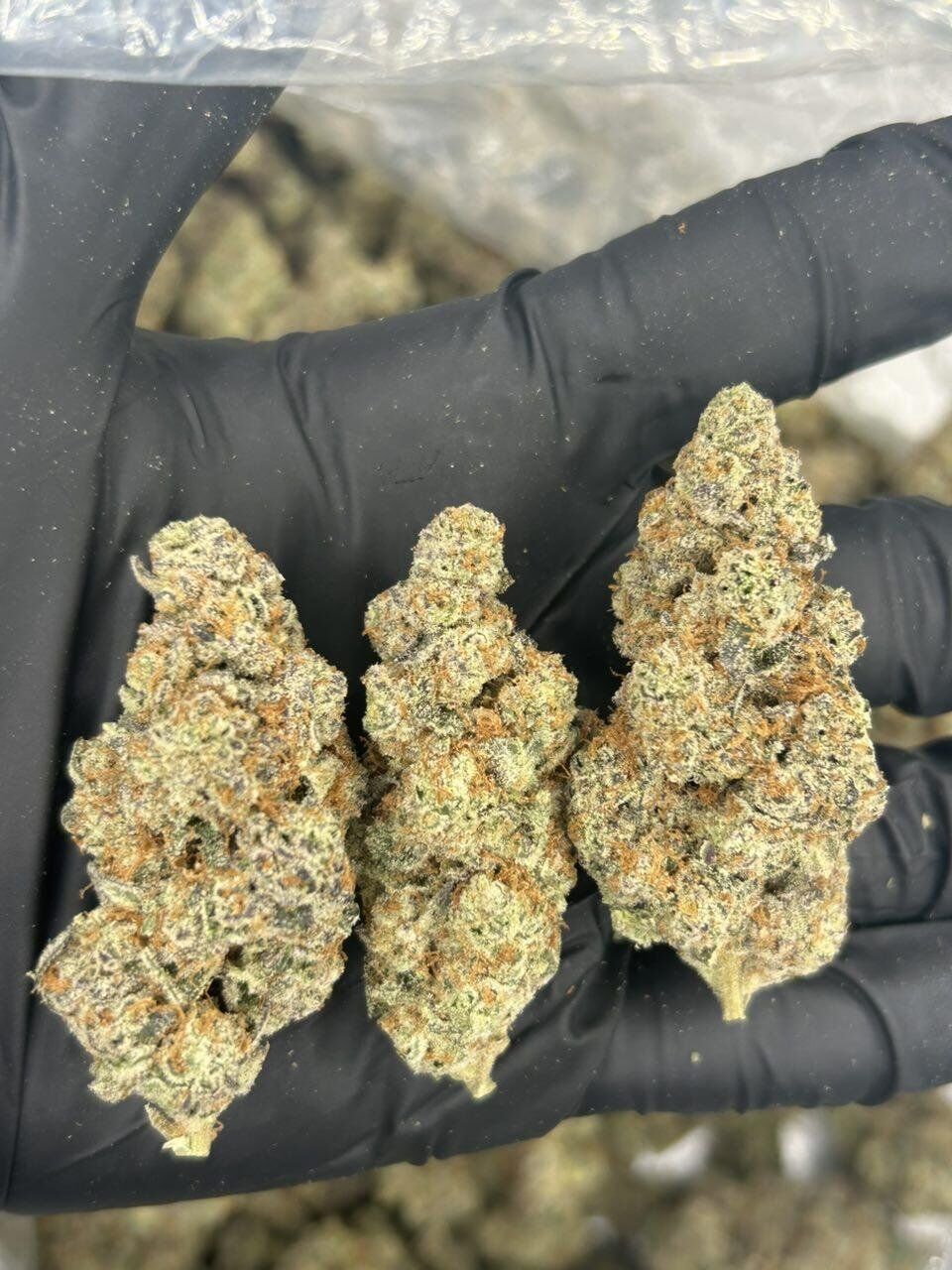 Grape Gas - Image 2