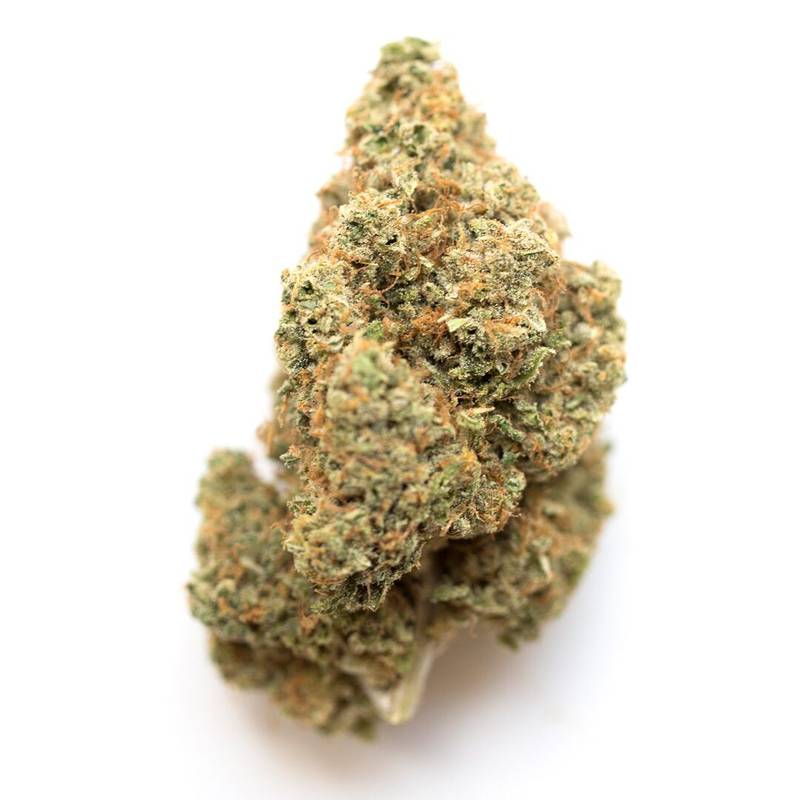 Blue Guava Gelato