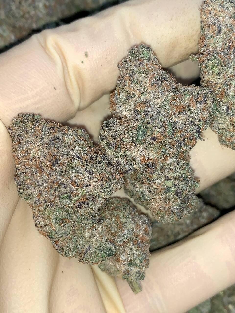 Cherry Poppers
