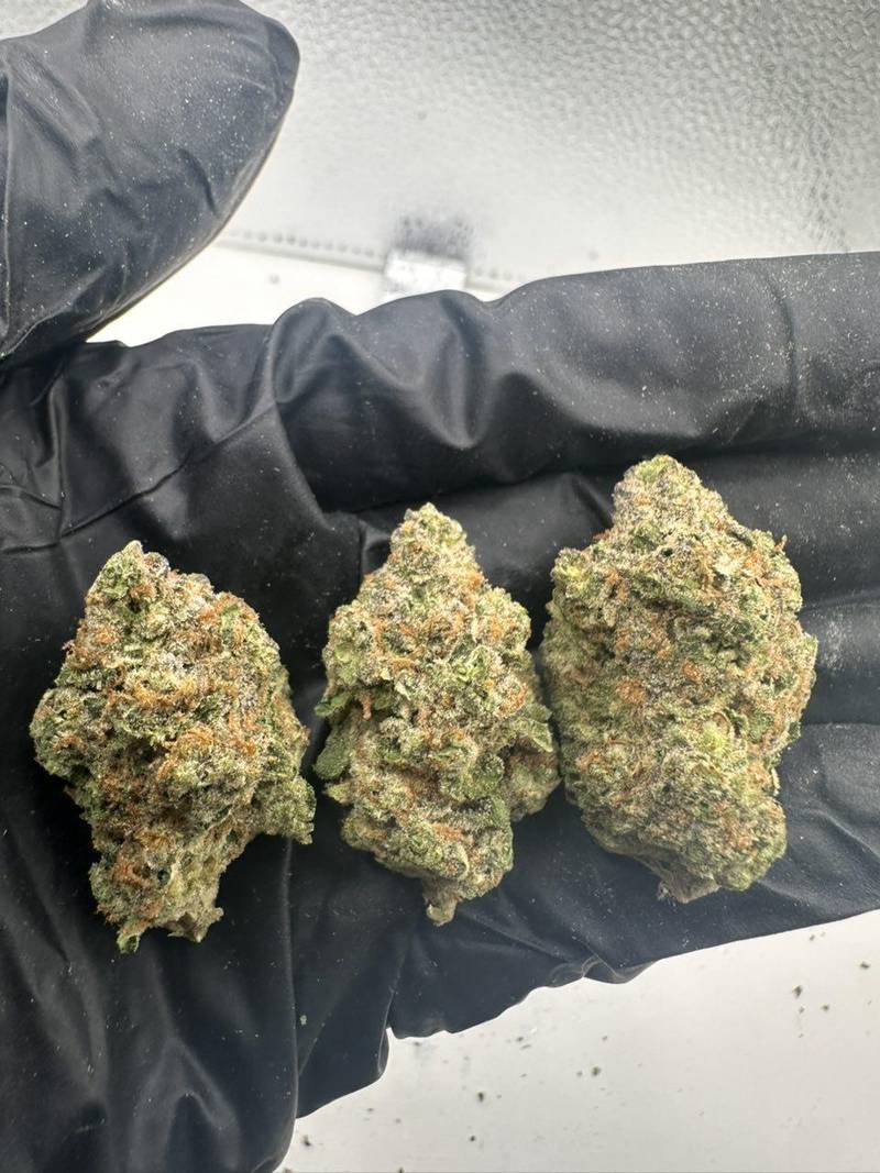 Strawberry Biscotti THCa Flower