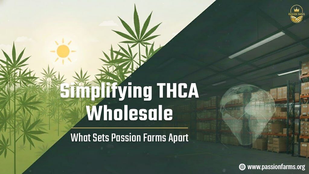 Simplifying THCA wholesale