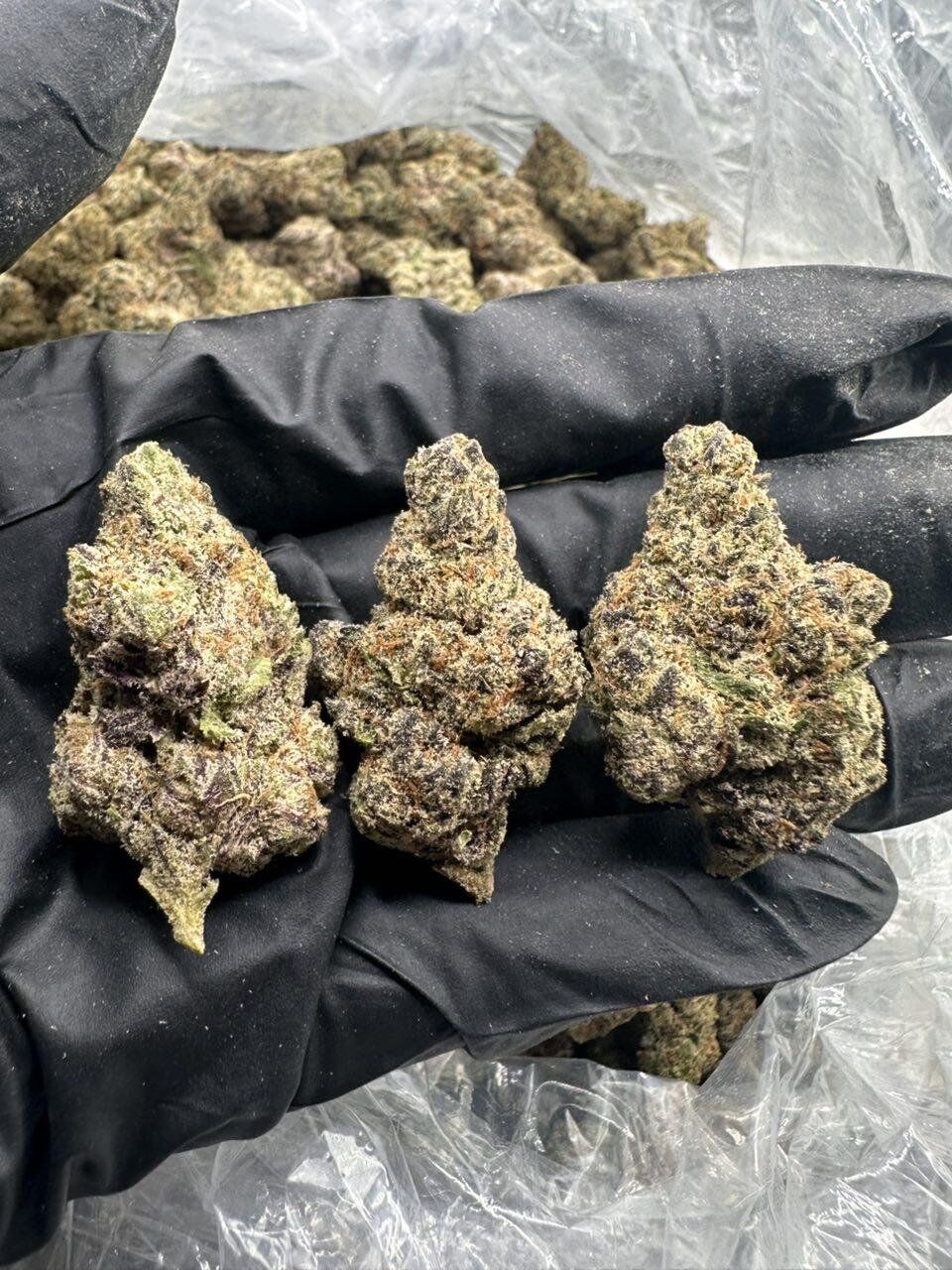 Secret Sauce THCa Flower