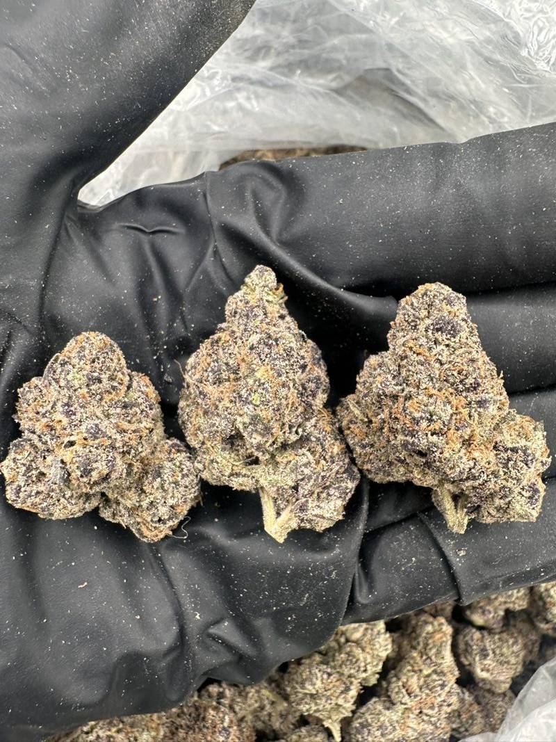 A19 Blue Nerds