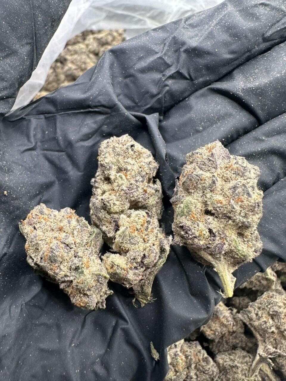 Slurricane