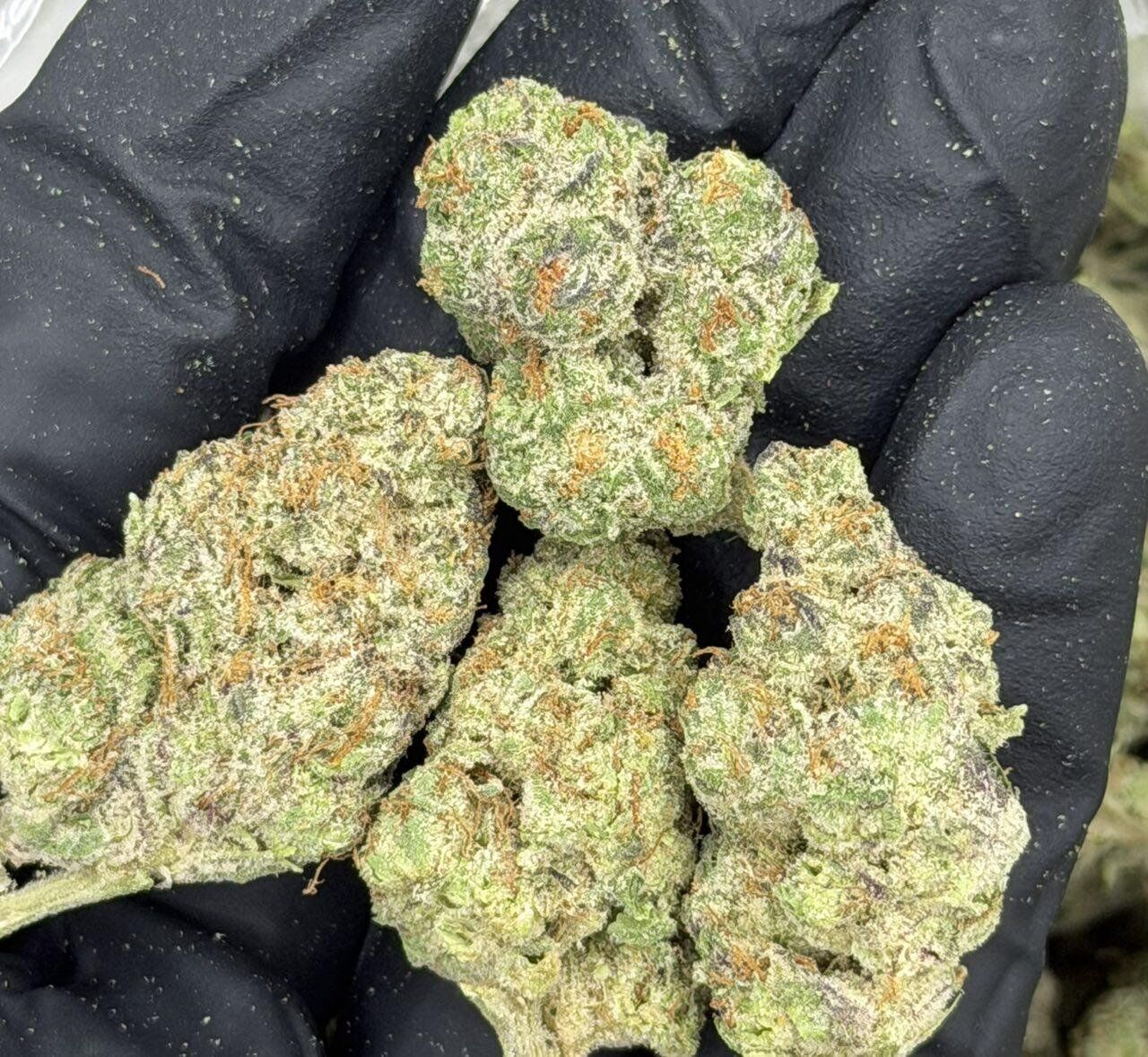Purple Cream